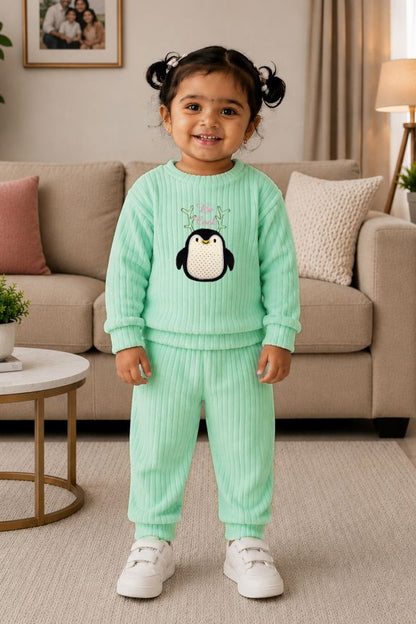 544 - Aqua Blue - 🐧 infant Minty Penguin Embroidered Cozy Set | 320 - 340 GSM Imported Soft Fabric