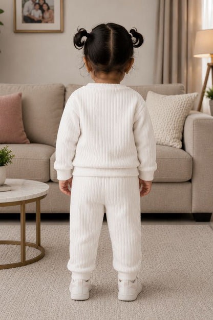 544 - Grey - 🐧 Infant Gray Penguin Embroidered Cozy Set| 320 - 340 GSM Imported Soft Fabric